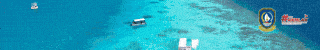 spot_img